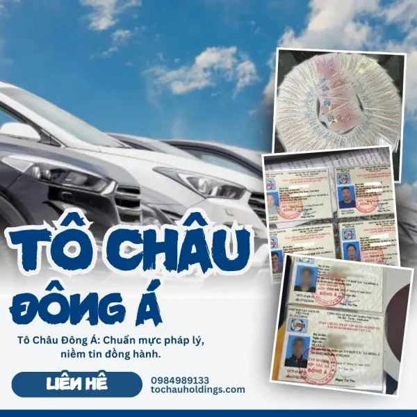 Lái xe mới có bắt buộc phải có thẻ tập huấn không? 1 sanphamlangson