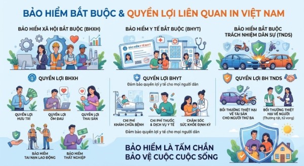 Bảo hiểm bắt buộc và quyền lợi liên quan